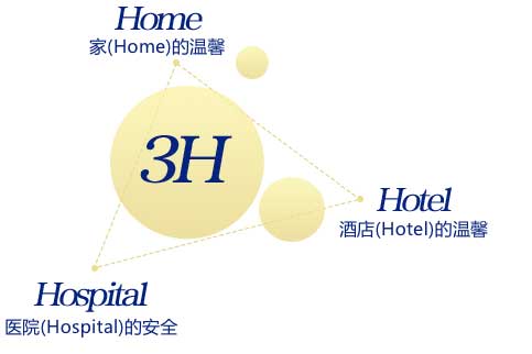 3H管理模式